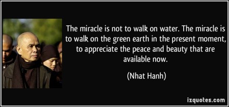 Thich Nhat Hanh106